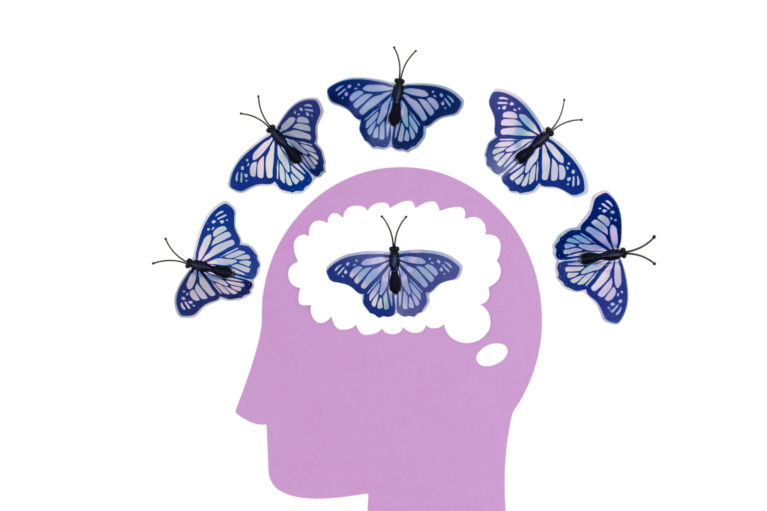 illustration of outline of human head with butterflies around it symbolizing new thought and transition
